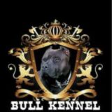 Bull Kennel