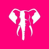 ELEPHANT BET – ANGOFOOT 🤑🐘