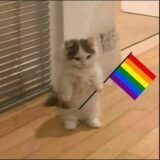 •°✯ℭ𝔩𝔬𝔰𝔢 𝔉𝔯𝔦𝔢𝔫𝔡𝔰✯°•