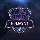 NINJAS V1