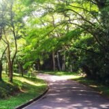 Trilhas parque do Carmo ZL