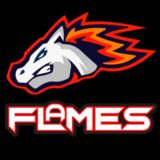 FLAMES (MINES) BOT