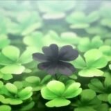 Black Clover – Recrutamento