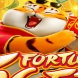 ‼️PLTFRMA CH1N3SA ‼️