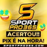 SportPro365.com 🥳🥳🥳