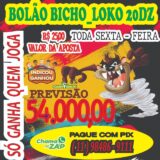 Bolão Bicho Loko 20 DZ 🤑💵