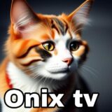 Onix tv