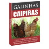 GALINHAS CAIPIRAS
