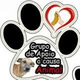 Grupo de apoio a causa animal