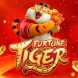 Plataformas pagantes 🎰🥷📸