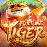 Fortune Tiger – horário das cartas