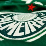 Palmeiras 💛🤍 🐷