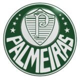 PALMEIRAS…💚💚