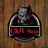Canil CKB Bulls