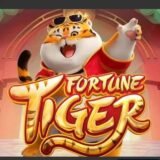 🐯Tigrinho da sorte 🤑💰🤑