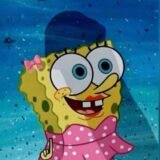 📌RAIBOW COLORS🦋