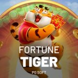 Fortune Tiger –  Métodos dos influenciador