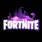 Fortnite Players BR
