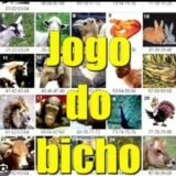 JOGO DO BICHO 🙋🏾