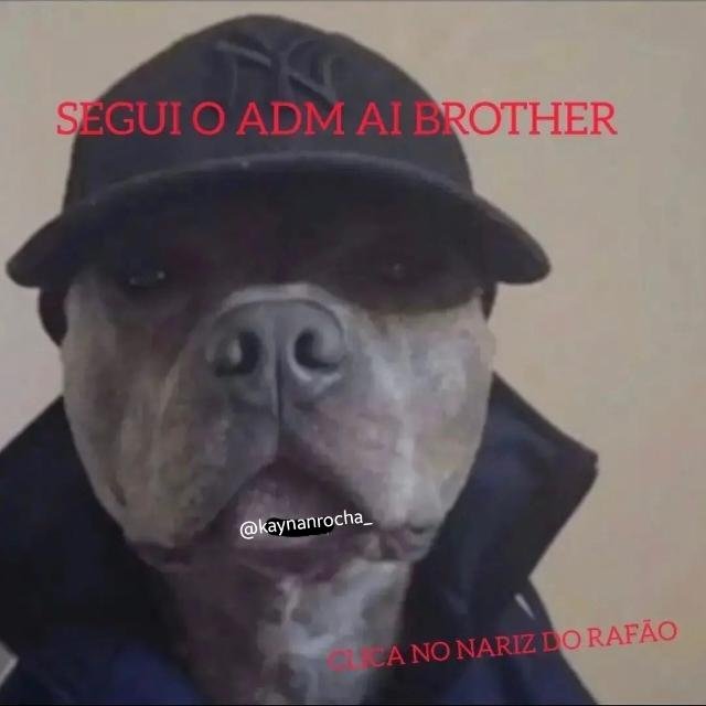 Grupo De WhatsApp SHITPOST CONTE DO Link De Grupo