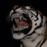 🍒 ⃟᮪〭۬̇〬⃟˖⸱ೇ 𝑶𝒍𝒊𝒗𝒆𝒊𝒓𝒛.𝒂𝒙 𝑬𝒏𝒈𝒂𝒋𝒂🍒 ⃟᮪〭۬̇〬⃟˖⸱ೇ 