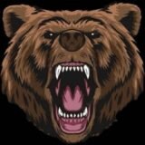 Equipe caos🇩🇪👑🚩