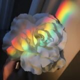 𝑪𝑨𝑵𝑻𝑰𝑵𝑯𝑶 𝑺𝑬𝑮𝑼𝑹O