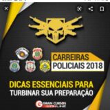 CARREIRA POLICIAL 2022