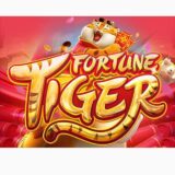 Grupo free fortune tiger 🐯