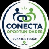 Conecta Oportunidades Sumaré e Região