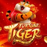 SINAIS DO TIGRINHO TIGER 🐯