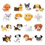 🐾ANJOS DE 4 PATAS 🐾