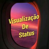 Visualização de Status