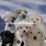 ´ཀ`𝕿𝖗𝖔𝖕𝖆 𝖉𝖆𝖘 𝕱𝖎𝖌𝖚𝖗𝖎𝖓𝖍𝖆𝖘´ཀ`