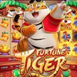 🎇🎇 🐰Plataforma novas todo dias🎇🎇🐯