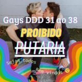 Gays DDD 31 ao 38