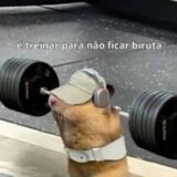 Dieta e Treino