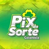 Pix da sorte goianesia do Pará. ⚜️💵💸