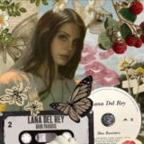 𝐉𝐞𝐚𝐥𝐨𝐮𝐬 𝑩𝒐𝒚𝒔