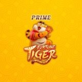 ROBÔ FORTUNE TIGER PRIME 🐯