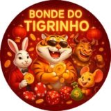 BONDE DO TIGRINHO 🐅🐯