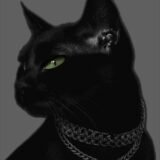 🔥 #1 BLACK CAT | ACHADOS SHOPEE