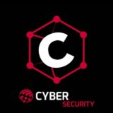 Cyber Security Red Team