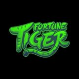 Fortune Tiger PlayPix/ BOTGREEN 🐯
