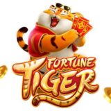 🎰Fortune Tiger Premium
