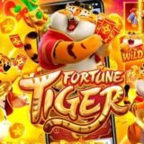 DIVULGAÇÃO DE PLATAFORMAS