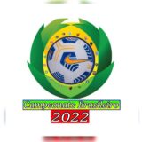 Campeonato brasileiro 2022 ⚽