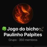 PALPITES e BANCA JOGO DO BICHO VIA PIX NA HORA