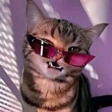 💜👻JOGANDO CONVERSA FORA💗