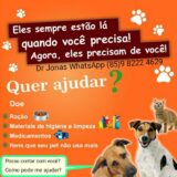 SOS Amigos Pets ❤‍🩹